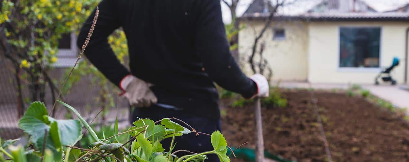 How To Prevent Lower Back Pain While Gardening